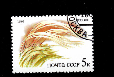 Similar image 590952