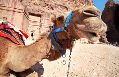 Similar image 590969