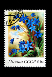 Similar image 590973