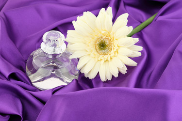 Similar image 591001