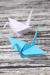 Similar image 591004