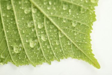 Similar image 591007