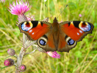 Similar image 591008