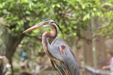 Similar image 591044