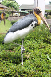 Similar image 591045