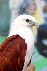 Similar image 591056