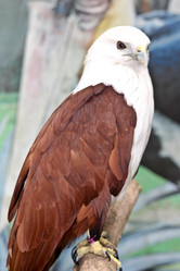 Similar image 591057