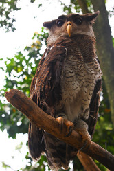 Similar image 591060