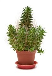 Similar image 591088