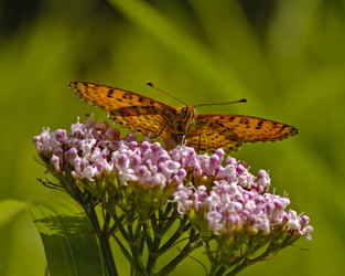 Similar image 591116