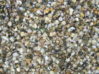 Similar image 591130