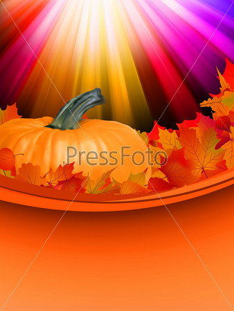 Стоковые фотографии по запросу Осенние листья