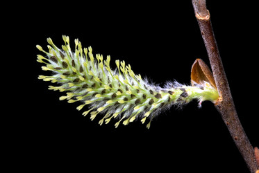 Similar image 591170