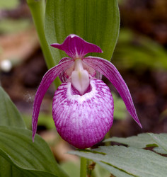 Similar image 591176