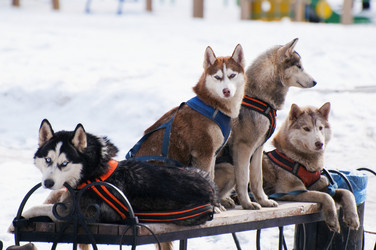 Similar image 591224