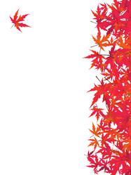 Similar image 591231