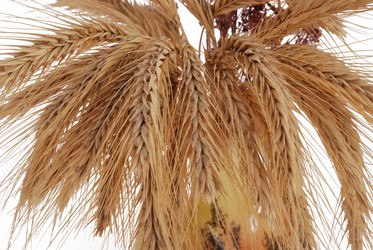 Similar image 591235