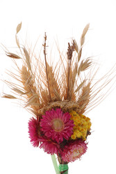 Similar image 591238