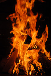 Similar image 591255