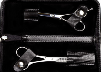 Similar image 591296