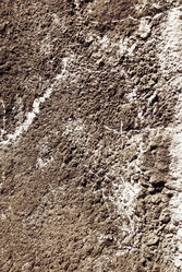 Similar image 591309