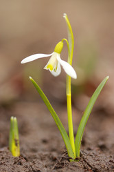 Similar image 591317