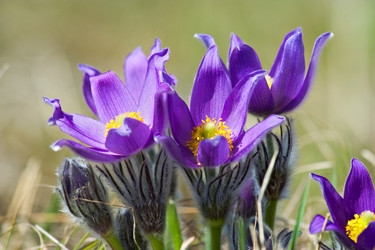 Similar image 591390