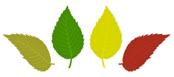 Similar image 591490