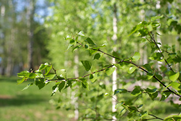 Similar image 591572