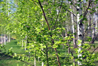 Similar image 591573