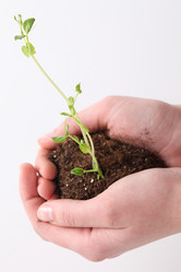 Similar image 591596