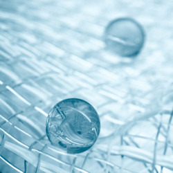 Similar image 591852