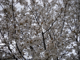 Similar image 591965