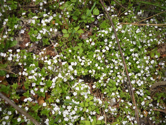 Similar image 591971