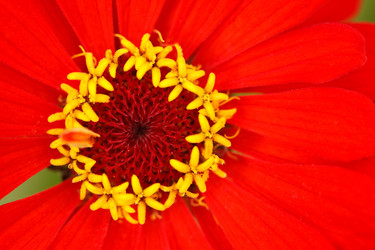 Similar image 591999