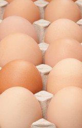 Similar image 592027