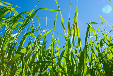 Similar image 592064