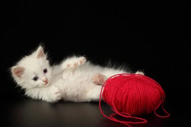 Similar image 592067