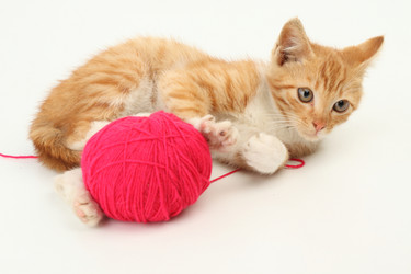 Similar image 592070