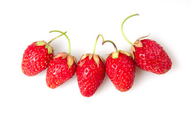 Similar image 592081