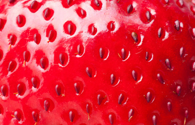 Similar image 592082