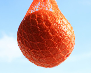 Similar image 592104