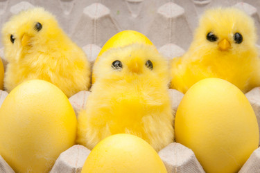 Similar image 592106