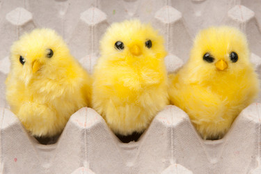 Similar image 592110