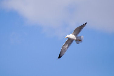 Similar image 592116