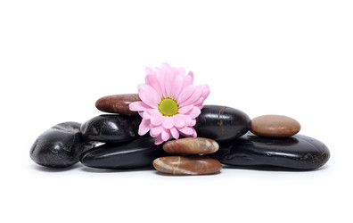 Similar image 592123