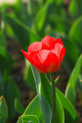 Similar image 592141