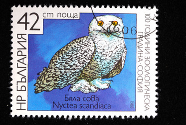 Similar image 592157