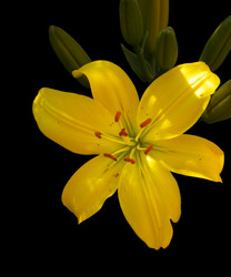 Similar image 592174