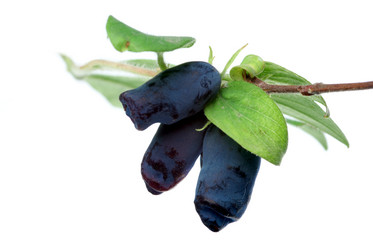 Similar image 592181